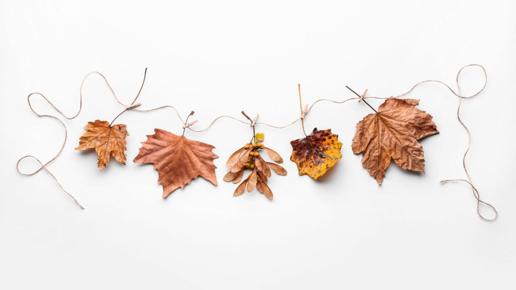 guirlandes feuilles dautomne